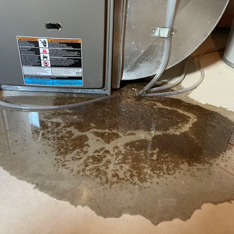 Appliance Leak Cleanup in Leesburg, FL